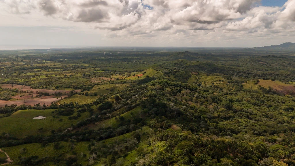 Paisaje aéreo de colinas y fincas de Nisibón