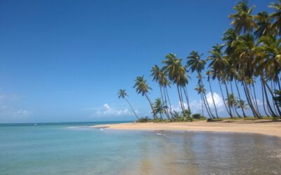 Miches: El nuevo destino turístico de República Dominicana